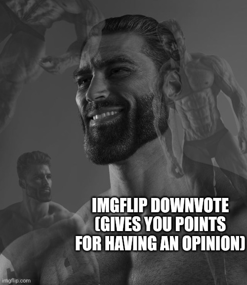 Downvote is underrated | IMGFLIP DOWNVOTE (GIVES YOU POINTS FOR HAVING AN OPINION) | image tagged in downvote,gigachad,imgflip points | made w/ Imgflip meme maker