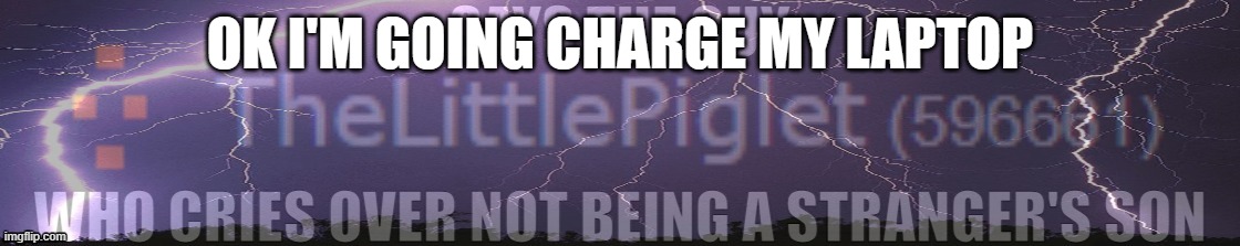 Says The Guy Who Cries Over Not Being A Stranger's Son | OK I'M GOING CHARGE MY LAPTOP | image tagged in says the guy who cries over not being a stranger's son | made w/ Imgflip meme maker
