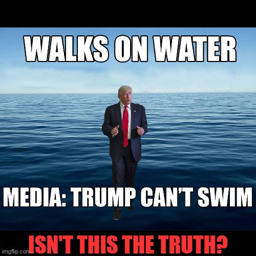The Malicious Media Mob ~~ on Donald Trump since day one! | ISN'T THIS THE TRUTH? | image tagged in politics,donald trump,funny trump meme,best potus ever,maga,political humor | made w/ Imgflip meme maker