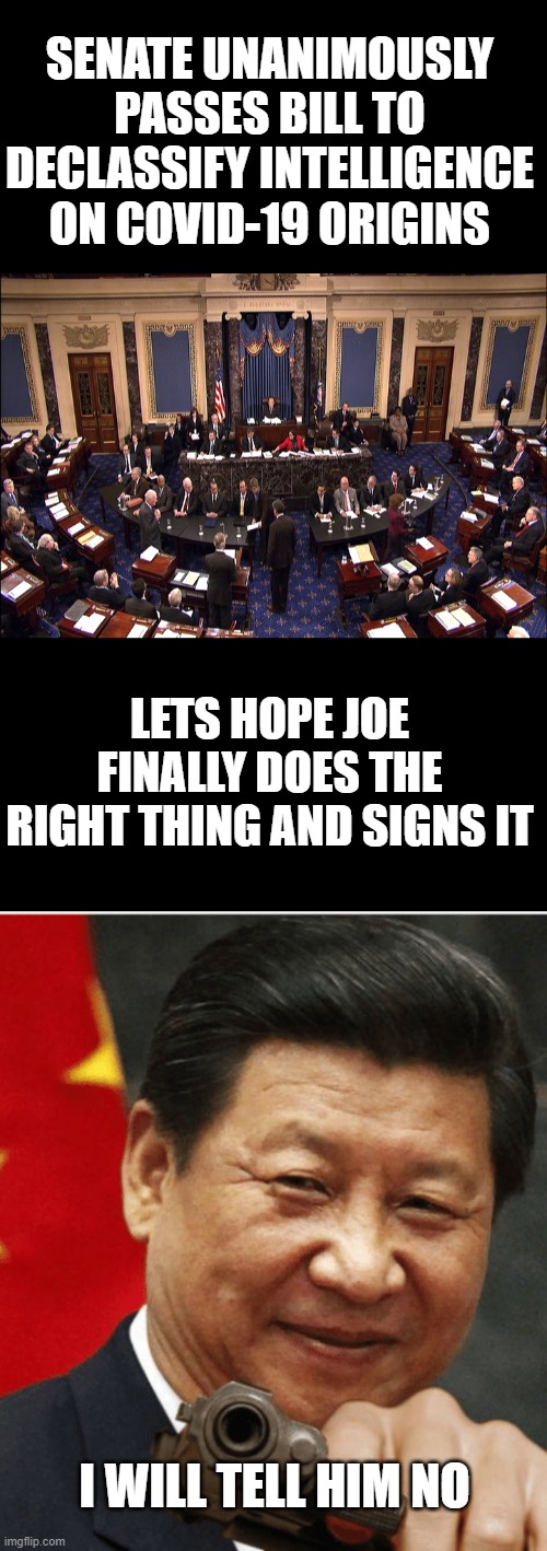 xi's biatch | SENATE UNANIMOUSLY PASSES BILL TO DECLASSIFY INTELLIGENCE ON COVID-19 ORIGINS; LETS HOPE JOE FINALLY DOES THE RIGHT THING AND SIGNS IT; I WILL TELL HIM NO | image tagged in senate floor,xi jinping,joe biden | made w/ Imgflip meme maker