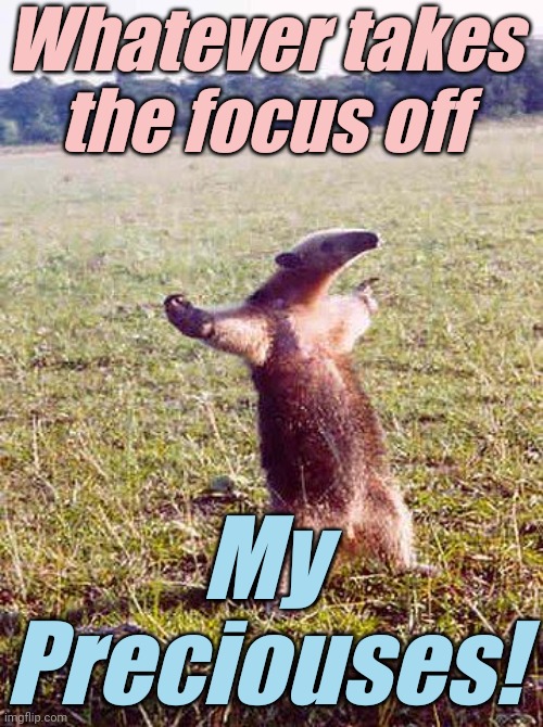 come at me anteater | Whatever takes the focus off My Preciouses! | image tagged in come at me anteater | made w/ Imgflip meme maker
