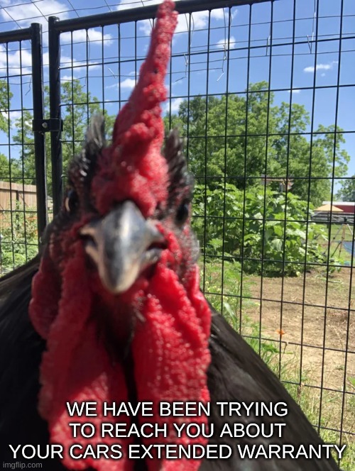 WE HAVE BEEN TRYING TO REACH YOU ABOUT YOUR CARS EXTENDED WARRANTY | made w/ Imgflip meme maker