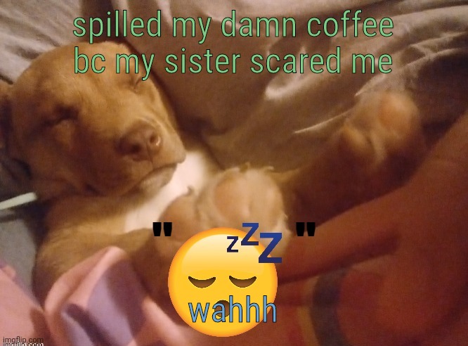 quandale | spilled my damn coffee bc my sister scared me; wahhh | image tagged in quandale | made w/ Imgflip meme maker