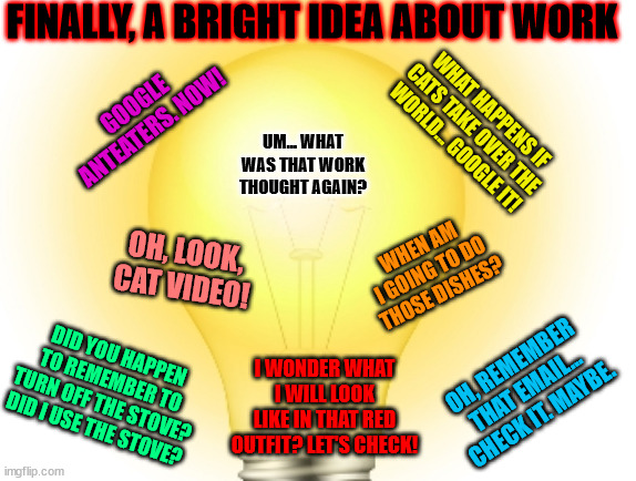 Finally a bright idea about work.... adhd brain | FINALLY, A BRIGHT IDEA ABOUT WORK; GOOGLE ANTEATERS. NOW! WHAT HAPPENS IF CATS TAKE OVER THE WORLD... GOOGLE IT! UM... WHAT WAS THAT WORK THOUGHT AGAIN? WHEN AM I GOING TO DO THOSE DISHES? OH, LOOK, CAT VIDEO! I WONDER WHAT I WILL LOOK LIKE IN THAT RED OUTFIT? LET'S CHECK! DID YOU HAPPEN TO REMEMBER TO TURN OFF THE STOVE? DID I USE THE STOVE? OH, REMEMBER THAT EMAIL... CHECK IT. MAYBE. | image tagged in adhd | made w/ Imgflip meme maker