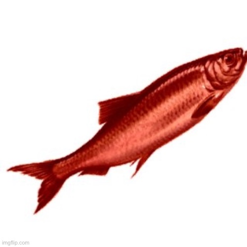 Red Herring | image tagged in red herring | made w/ Imgflip meme maker
