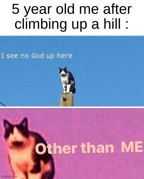 Great memories | 5 year old me after climbing up a hill : | image tagged in hail pole cat,cats | made w/ Imgflip meme maker