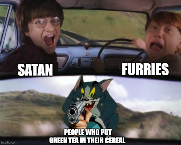 who even puts green tea in their cereal | FURRIES; SATAN; PEOPLE WHO PUT GREEN TEA IN THEIR CEREAL | image tagged in tom chasing harry and ron weasly | made w/ Imgflip meme maker