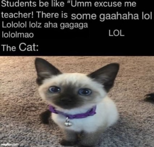 stolen from drm bc this made me cackle | made w/ Imgflip meme maker