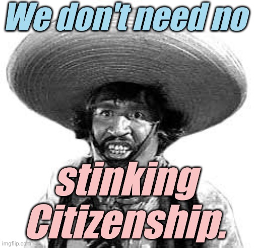 Badges we dont need no stinking badges | We don't need no stinking Citizenship. | image tagged in badges we dont need no stinking badges | made w/ Imgflip meme maker