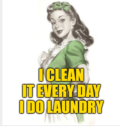 50's housewife | I CLEAN IT EVERY DAY I DO LAUNDRY | image tagged in 50's housewife | made w/ Imgflip meme maker