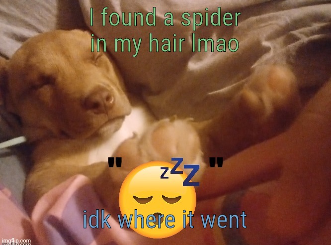 quandale | I found a spider in my hair lmao; idk where it went | image tagged in quandale | made w/ Imgflip meme maker