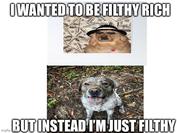 This is me | I WANTED TO BE FILTHY RICH; BUT INSTEAD I’M JUST FILTHY | image tagged in memes | made w/ Imgflip meme maker