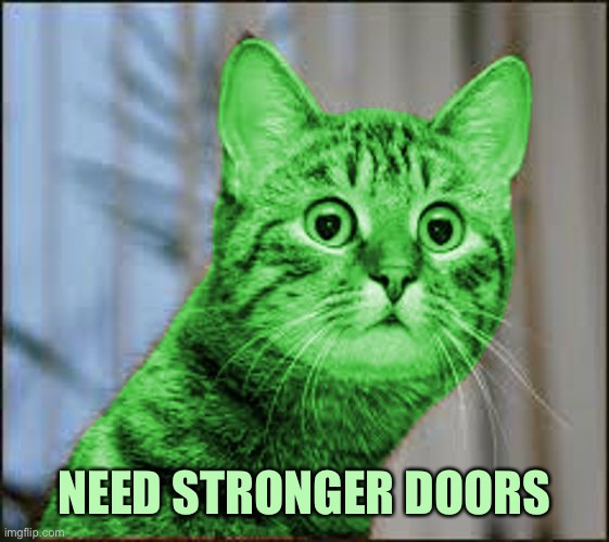 RayCat WTF | NEED STRONGER DOORS | image tagged in raycat wtf | made w/ Imgflip meme maker