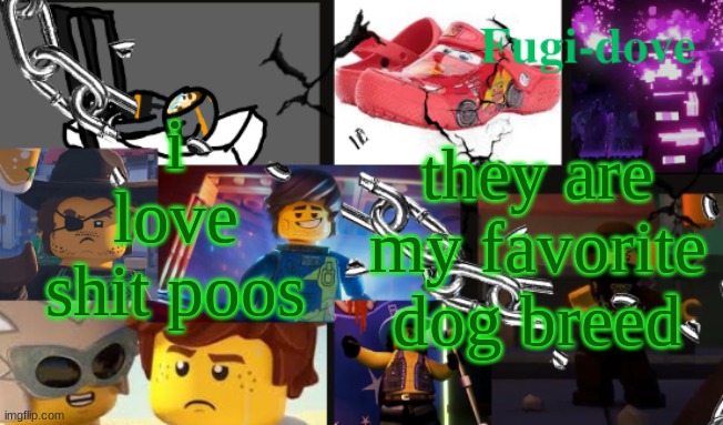 FDAT13 2 text | i love shit poos; they are my favorite dog breed | image tagged in fdat13 2 text | made w/ Imgflip meme maker