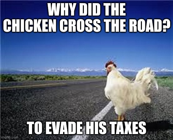 Why Did The Chicken Cross The Road Imgflip