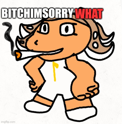 Side order agent 8 smokes a fat blunt | WHAT BITCHIMSORRY | image tagged in side order agent 8 smokes a fat blunt | made w/ Imgflip meme maker