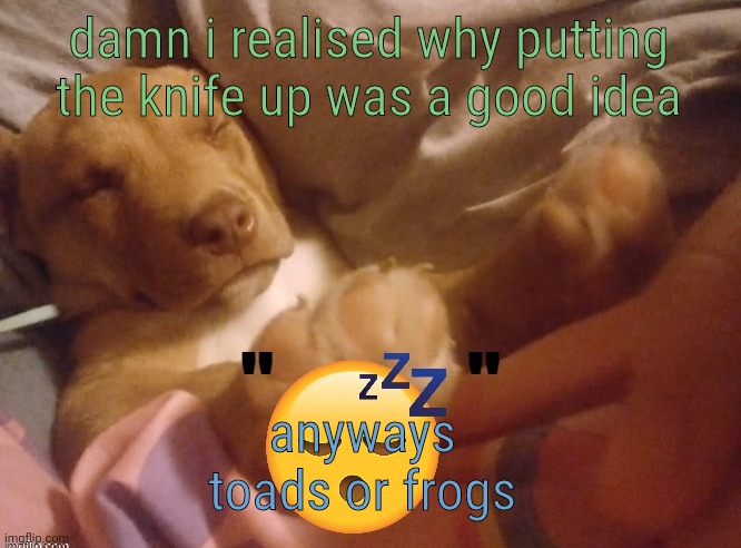 I like toads more | damn i realised why putting the knife up was a good idea; anyways 
toads or frogs | image tagged in quandale | made w/ Imgflip meme maker