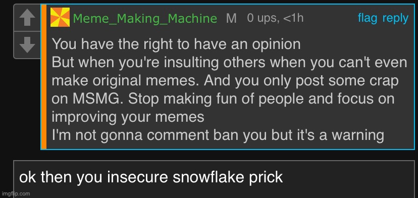 Damn ok we get banned for making opinions ok | image tagged in balls,snowflake | made w/ Imgflip meme maker