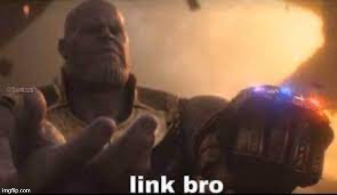 Link bro | image tagged in link bro | made w/ Imgflip meme maker