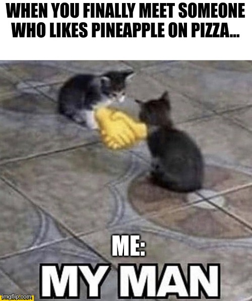 Someone who likes pineapple on pizza | WHEN YOU FINALLY MEET SOMEONE WHO LIKES PINEAPPLE ON PIZZA... ME: | image tagged in cats shaking hands | made w/ Imgflip meme maker