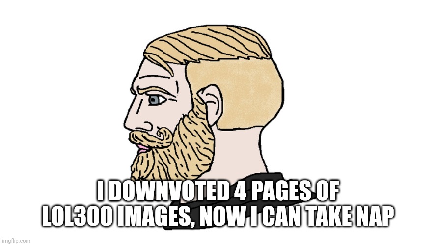 chad yes | I DOWNVOTED 4 PAGES OF LOL300 IMAGES, NOW I CAN TAKE NAP | image tagged in chad yes | made w/ Imgflip meme maker