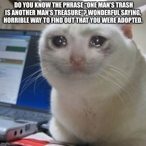 Crying cat | DO YOU KNOW THE PHRASE “ONE MAN’S TRASH IS ANOTHER MAN’S TREASURE”? WONDERFUL SAYING, HORRIBLE WAY TO FIND OUT THAT YOU WERE ADOPTED. | image tagged in crying cat | made w/ Imgflip meme maker