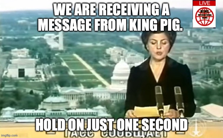 Dictator MSMG News | WE ARE RECEIVING A MESSAGE FROM KING PIG. HOLD ON JUST ONE SECOND | image tagged in dictator msmg news | made w/ Imgflip meme maker