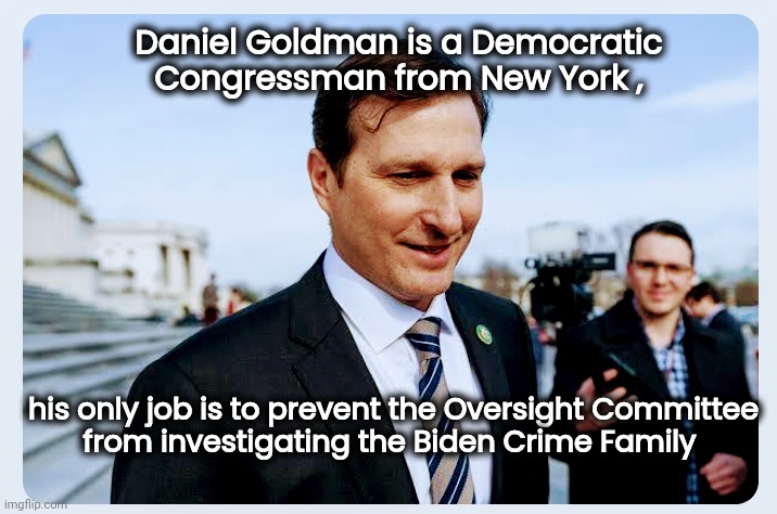 Our Tax Dollars at work | Daniel Goldman is a Democratic Congressman from New York , his only job is to prevent the Oversight Committee
from investigating the Biden Crime Family | image tagged in government corruption,politicians suck,criminals,extortion,blackmail,money laundering | made w/ Imgflip meme maker