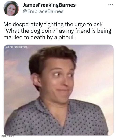 50 upvotes and I post this in dogs | made w/ Imgflip meme maker