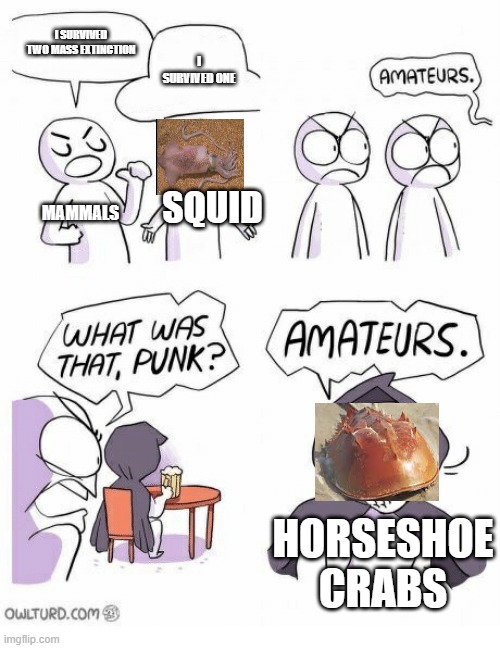 Amateurs | I SURVIVED TWO MASS EXTINCTION; I SURVIVED ONE; SQUID; MAMMALS; HORSESHOE CRABS | image tagged in amateurs | made w/ Imgflip meme maker