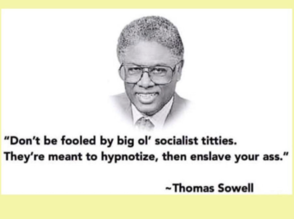 socialist sowell Blank Meme Template