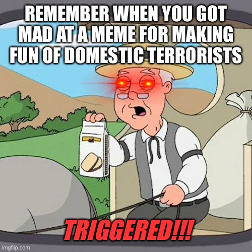 Pepperidge Farm Remembers Meme | REMEMBER WHEN YOU GOT MAD AT A MEME FOR MAKING FUN OF DOMESTIC TERRORISTS TRIGGERED!!! | image tagged in memes,pepperidge farm remembers | made w/ Imgflip meme maker