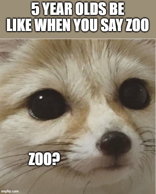 what | 5 YEAR OLDS BE LIKE WHEN YOU SAY ZOO; ZOO? | image tagged in what | made w/ Imgflip meme maker