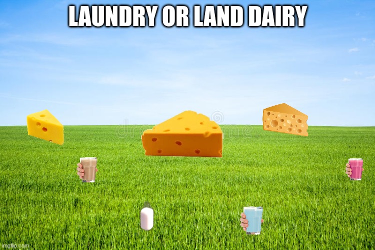 Should've put lawn dairy | LAUNDRY OR LAND DAIRY | image tagged in funny,memes | made w/ Imgflip meme maker