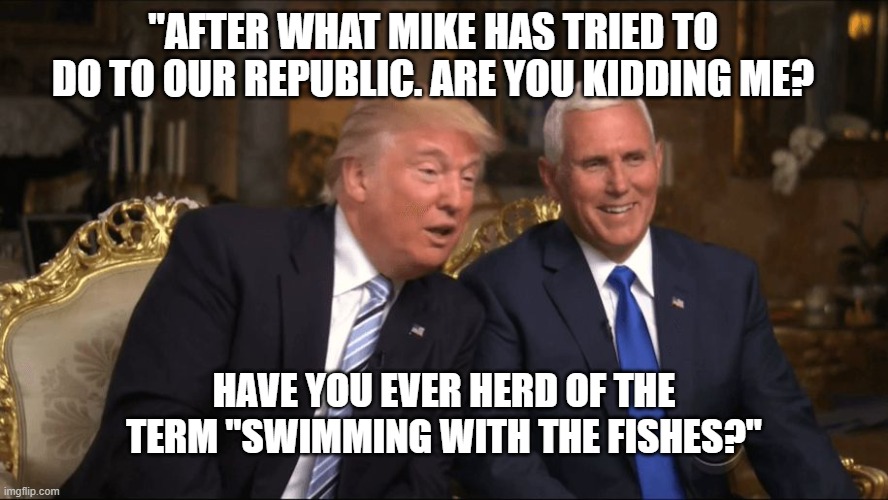 Swimming With The Fishes | "AFTER WHAT MIKE HAS TRIED TO DO TO OUR REPUBLIC. ARE YOU KIDDING ME? HAVE YOU EVER HERD OF THE TERM "SWIMMING WITH THE FISHES?" | image tagged in trump/pence,political meme,election,political humor,meme | made w/ Imgflip meme maker