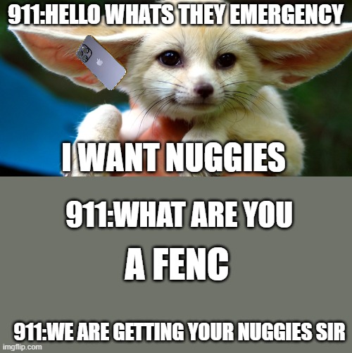 nuggie | 911:HELLO WHATS THEY EMERGENCY; I WANT NUGGIES; 911:WHAT ARE YOU; A FENC; 911:WE ARE GETTING YOUR NUGGIES SIR | image tagged in hi | made w/ Imgflip meme maker