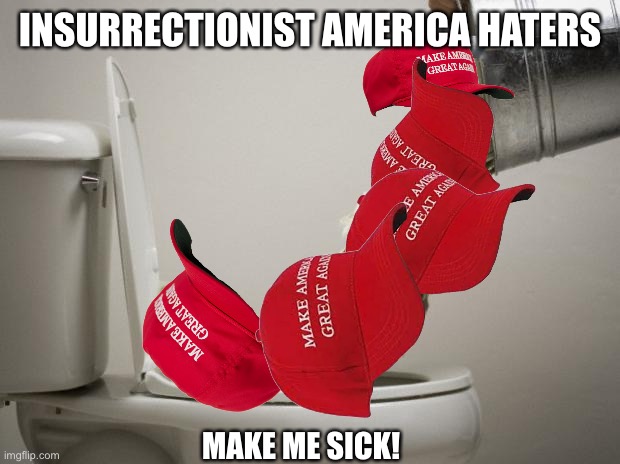money down toilet | INSURRECTIONIST AMERICA HATERS MAKE ME SICK! | image tagged in money down toilet | made w/ Imgflip meme maker