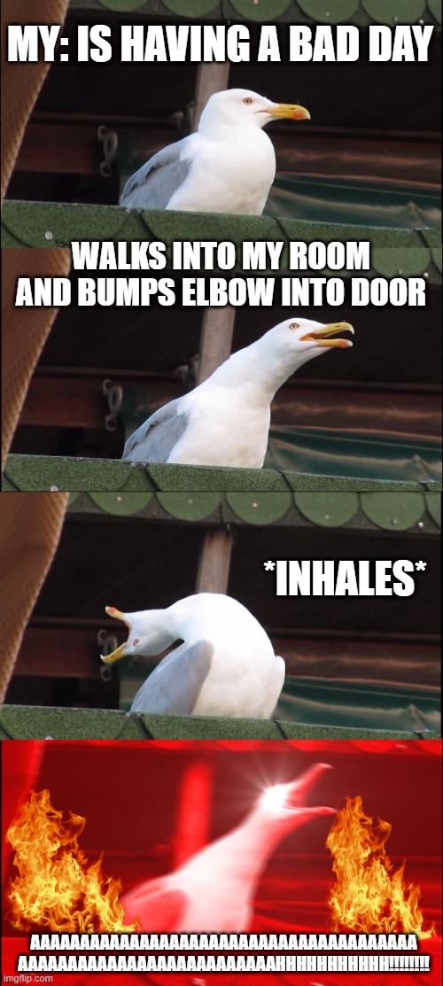 WWHYYYYYYYYYYYYYYYYYYYYYYY!! | MY: IS HAVING A BAD DAY; WALKS INTO MY ROOM AND BUMPS ELBOW INTO DOOR; *INHALES*; AAAAAAAAAAAAAAAAAAAAAAAAAAAAAAAAAAAAAAA
AAAAAAAAAAAAAAAAAAAAAAAAAAHHHHHHHHHHH!!!!!!!! | image tagged in memes,inhaling seagull,bad day | made w/ Imgflip meme maker