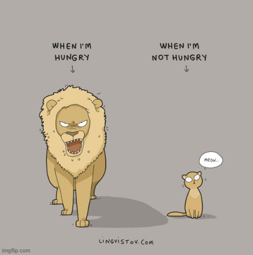 A Cat's Way Of Thinking | image tagged in memes,comics,cats,i'm hungry,lion,meow | made w/ Imgflip meme maker
