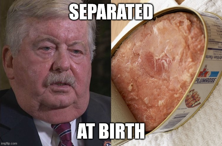 Governor Meat | SEPARATED; AT BIRTH | image tagged in tennessee | made w/ Imgflip meme maker