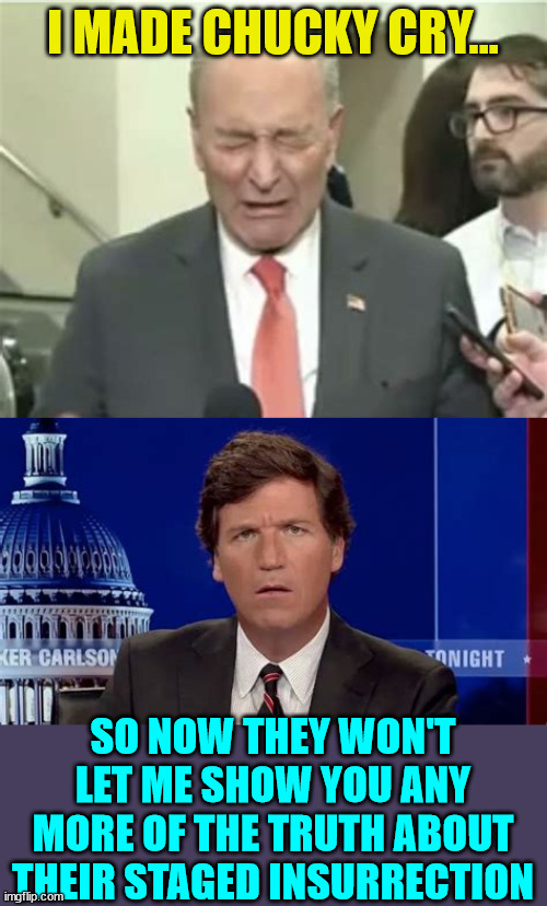 They can censor Tucker... but most Americans know the truth about their staged insurrection... | I MADE CHUCKY CRY... SO NOW THEY WON'T LET ME SHOW YOU ANY MORE OF THE TRUTH ABOUT THEIR STAGED INSURRECTION | image tagged in truth,censored | made w/ Imgflip meme maker