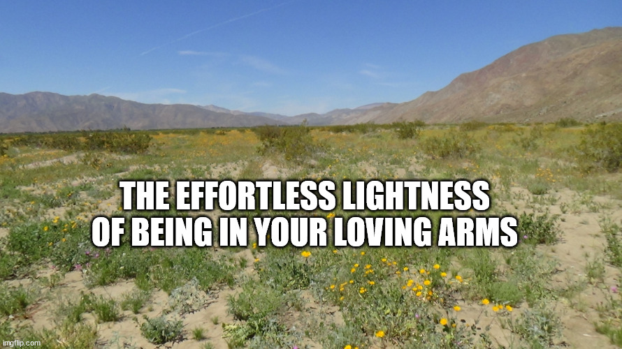 meditation | THE EFFORTLESS LIGHTNESS OF BEING IN YOUR LOVING ARMS | image tagged in meditation | made w/ Imgflip meme maker