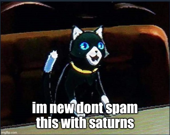 thisll work | im new dont spam this with saturns | image tagged in msmg | made w/ Imgflip meme maker