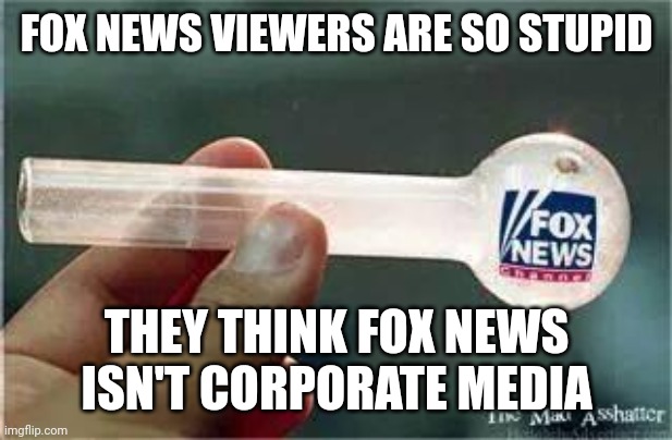 Does the average Republican even know what a corporation is? | FOX NEWS VIEWERS ARE SO STUPID; THEY THINK FOX NEWS ISN'T CORPORATE MEDIA | image tagged in fox news,conservative logic,corporate greed,stupidity,media,ignorance | made w/ Imgflip meme maker