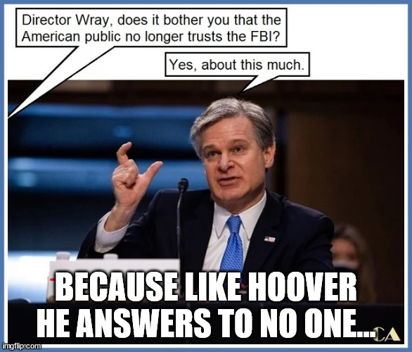 American Stasi | BECAUSE LIKE HOOVER HE ANSWERS TO NO ONE... | image tagged in crooked,fbi | made w/ Imgflip meme maker