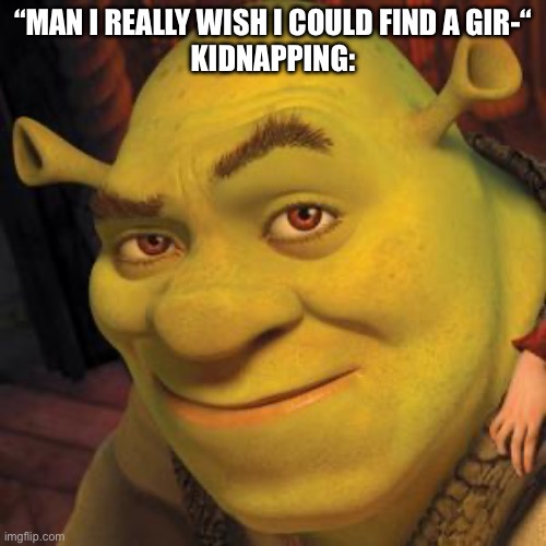 Yeah that’ll work | “MAN I REALLY WISH I COULD FIND A GIR-“
KIDNAPPING: | image tagged in shrek sexy face | made w/ Imgflip meme maker