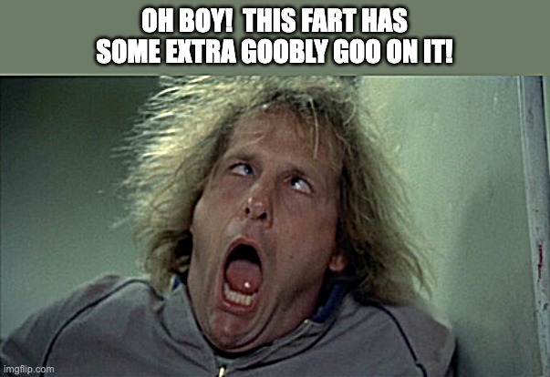 Harry Fart Goobly Goo | OH BOY!  THIS FART HAS
SOME EXTRA GOOBLY GOO ON IT! | image tagged in memes,scary harry,dumb and dumber,fart,goobly goo | made w/ Imgflip meme maker