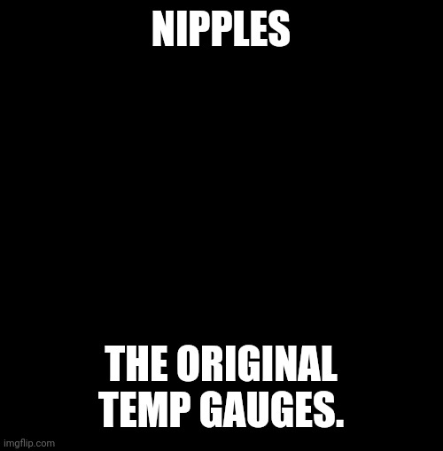 erect nipples | NIPPLES; THE ORIGINAL TEMP GAUGES. | image tagged in erect nipples | made w/ Imgflip meme maker