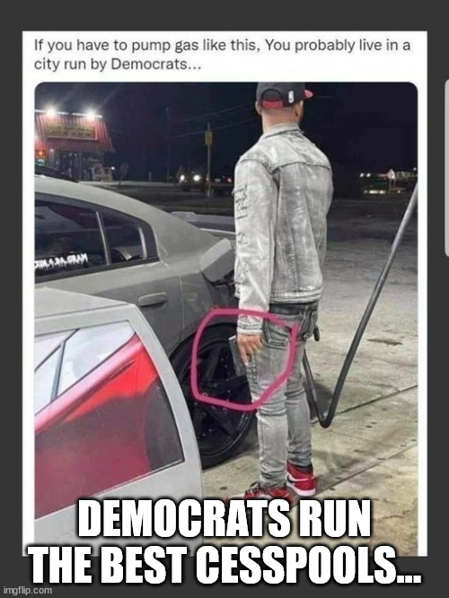 Democrats run the best cesspools... | DEMOCRATS RUN THE BEST CESSPOOLS... | image tagged in democrat,criminals | made w/ Imgflip meme maker