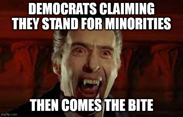 Democratula |  DEMOCRATS CLAIMING THEY STAND FOR MINORITIES; THEN COMES THE BITE | image tagged in dracula,taxes,deception | made w/ Imgflip meme maker